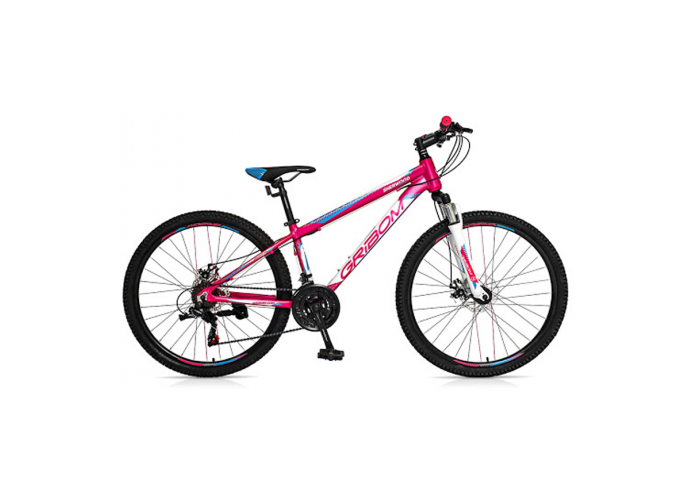Bicicleta ni
