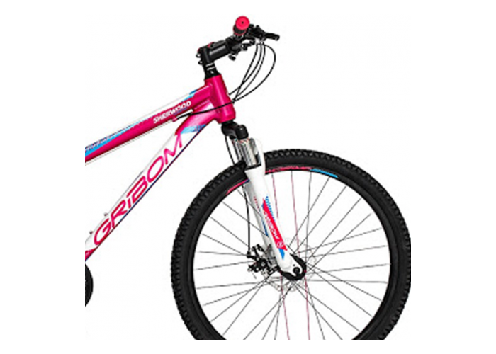 Bicicleta ni