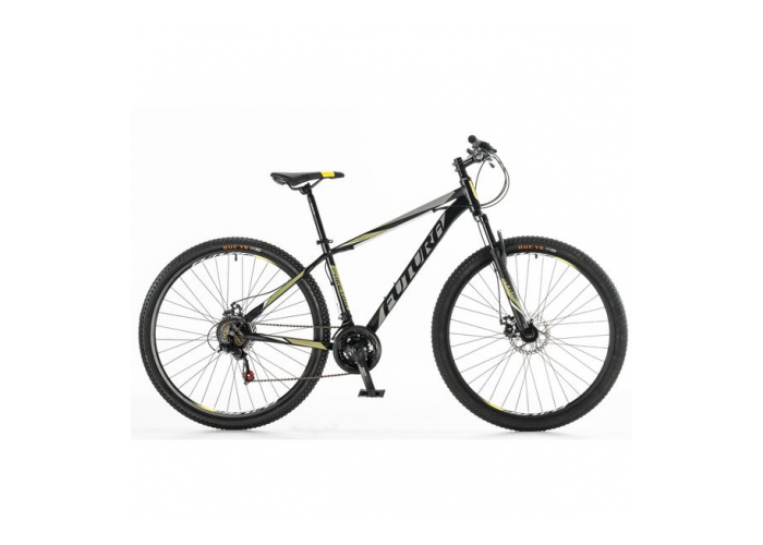 Bicicleta mtb r29