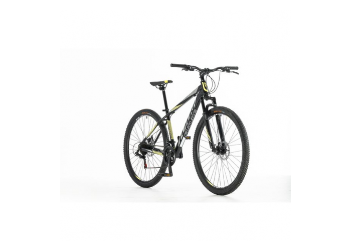 Bicicleta mtb r29