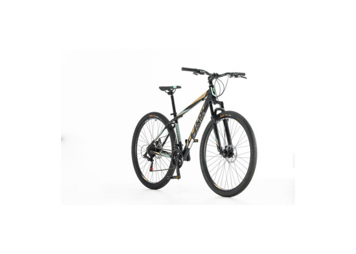 Bicicleta mtb r29