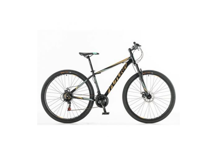 Bicicleta mtb r29