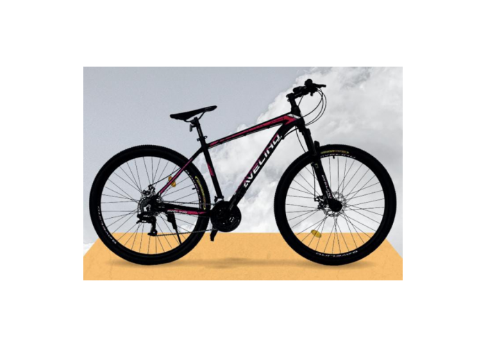 Bicicleta r.29  avelino alum fx7000