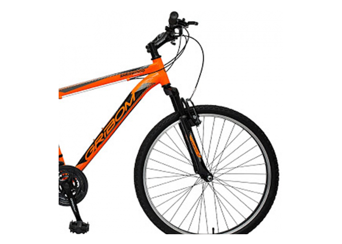 Bicicleta ni